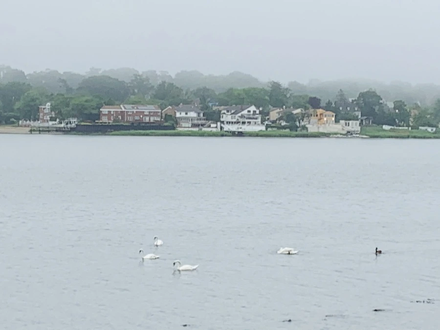 IMG_5086.jpg?type=w966