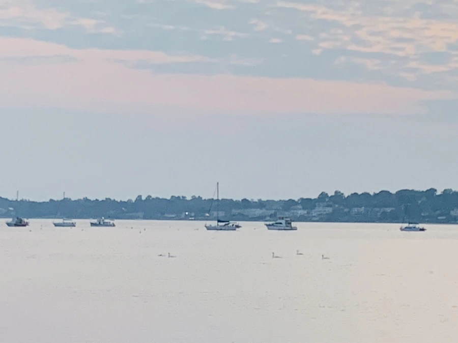 IMG_2281.jpg?type=w966