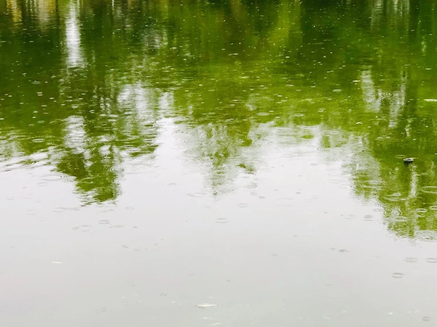 IMG_3242.jpg?type=w966