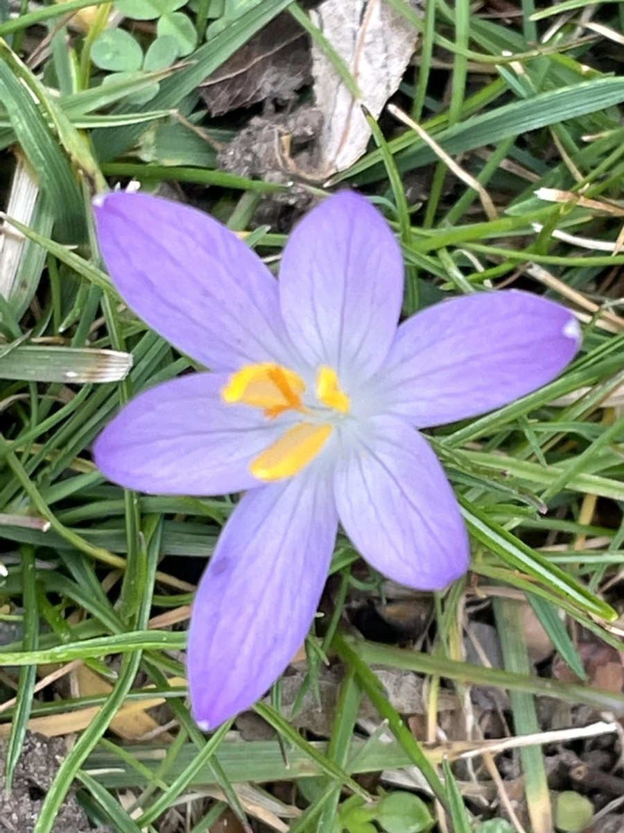 IMG_4070.jpg?type=w966