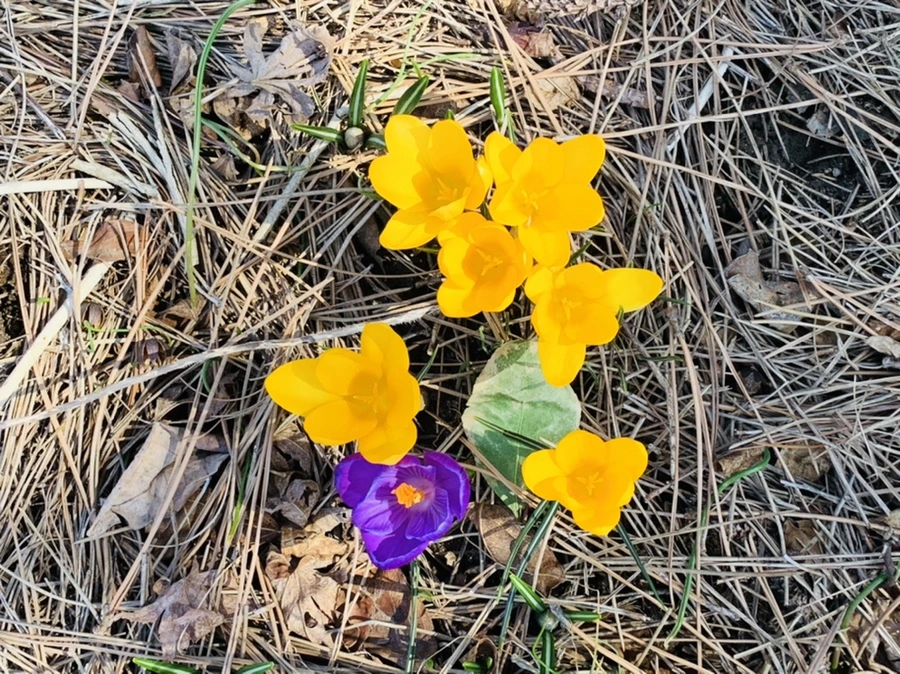 IMG_2974.jpg?type=w966