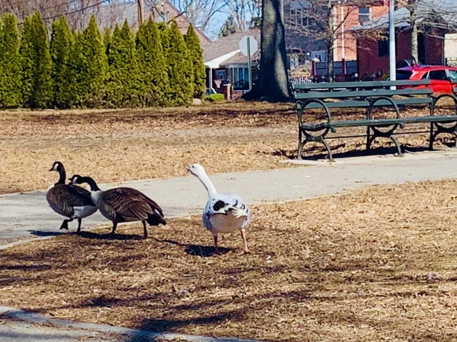 IMG_6823.jpg?type=w966