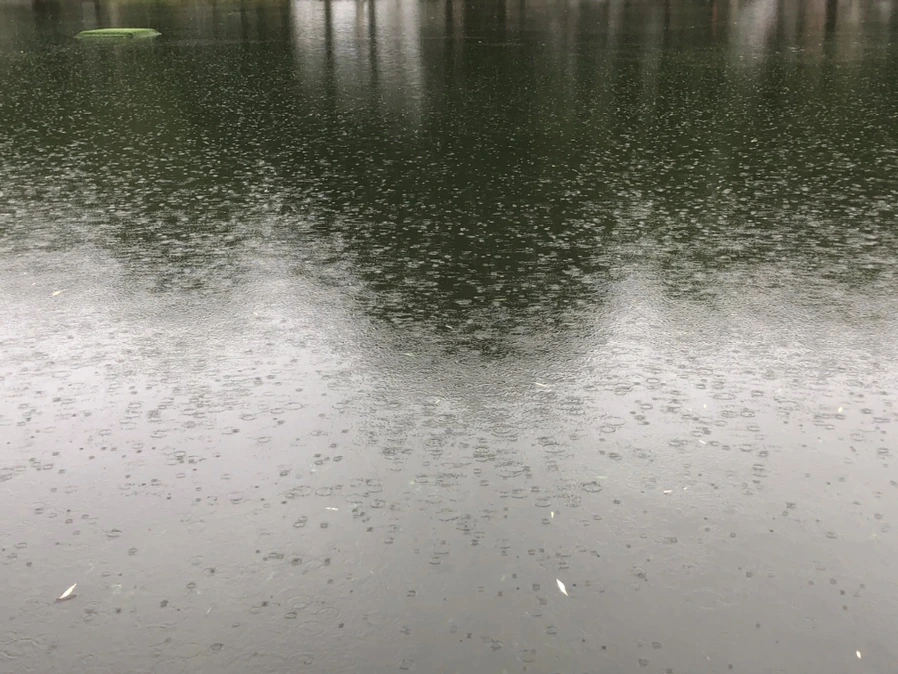 IMG_3263.jpg?type=w966