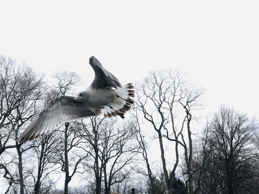 IMG_5871.jpg?type=w966