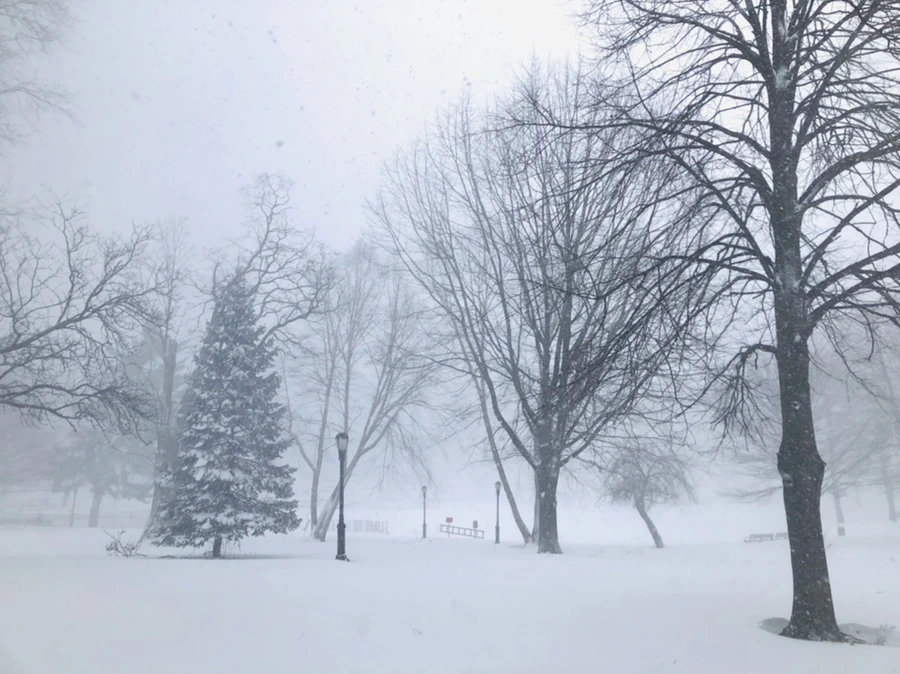 IMG_8795.jpg?type=w966