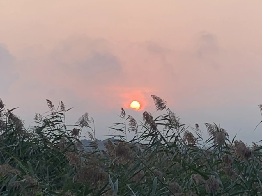 IMG_1096.jpg?type=w966