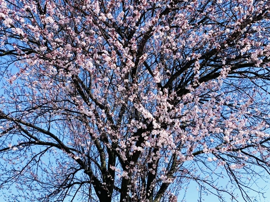 mdP-wZQqDXuKwFMUt-Rs2KjiCB0