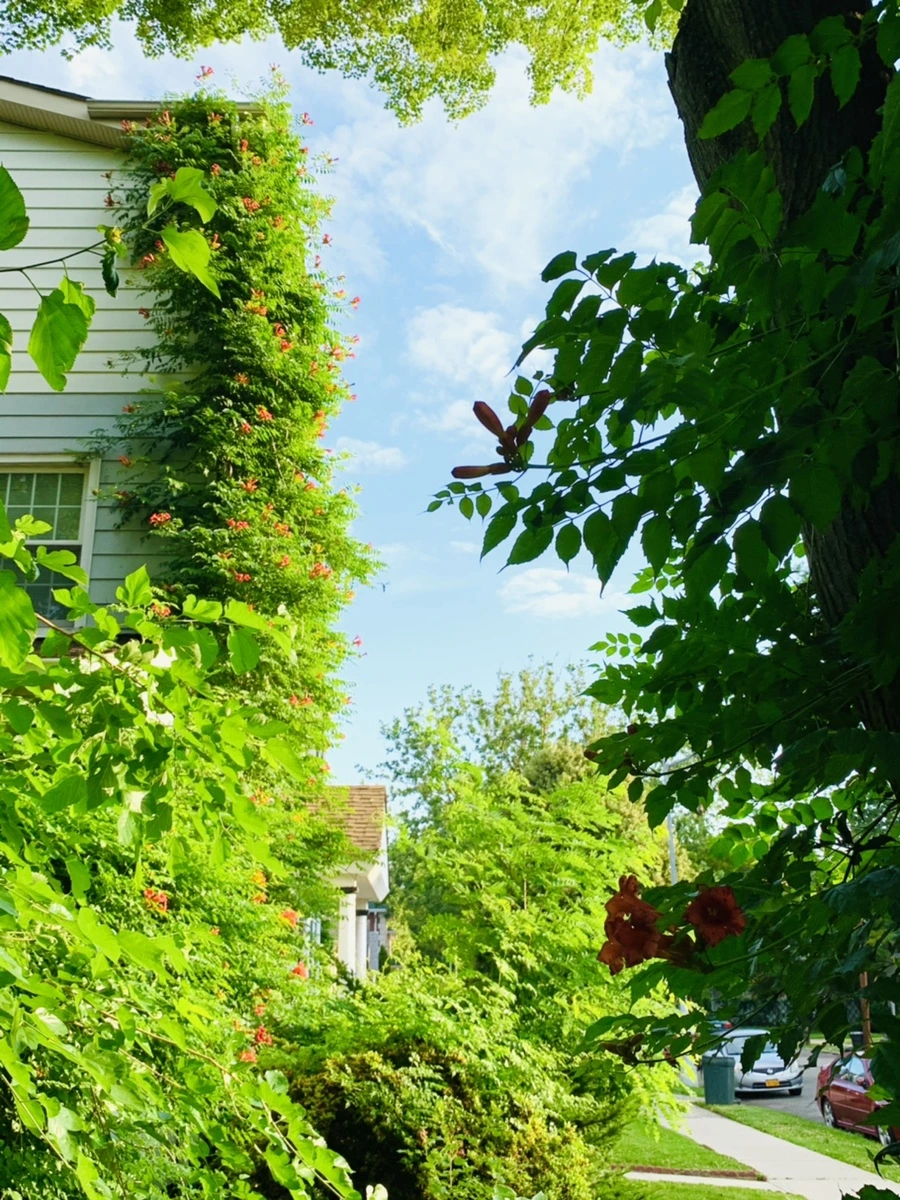 IMG_5854.jpg?type=w966