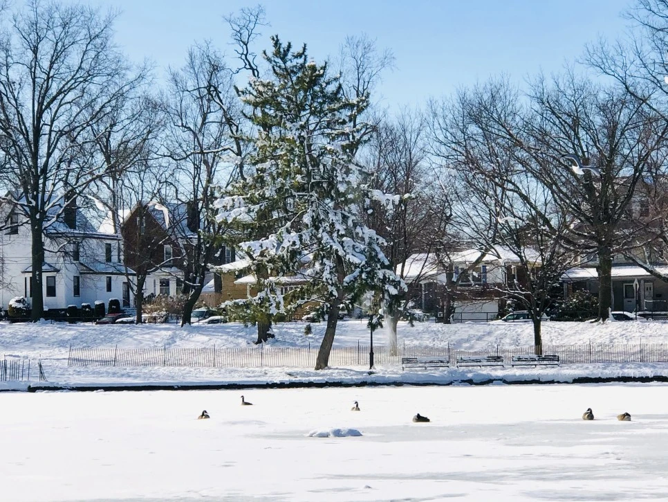 IMG_1290.jpg?type=w966