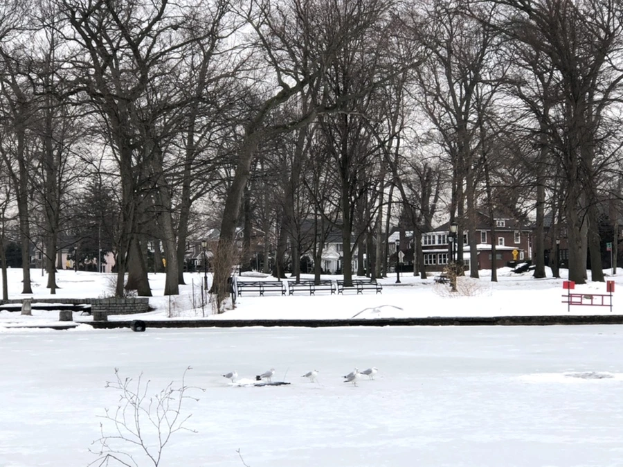 IMG_4309.jpg?type=w966