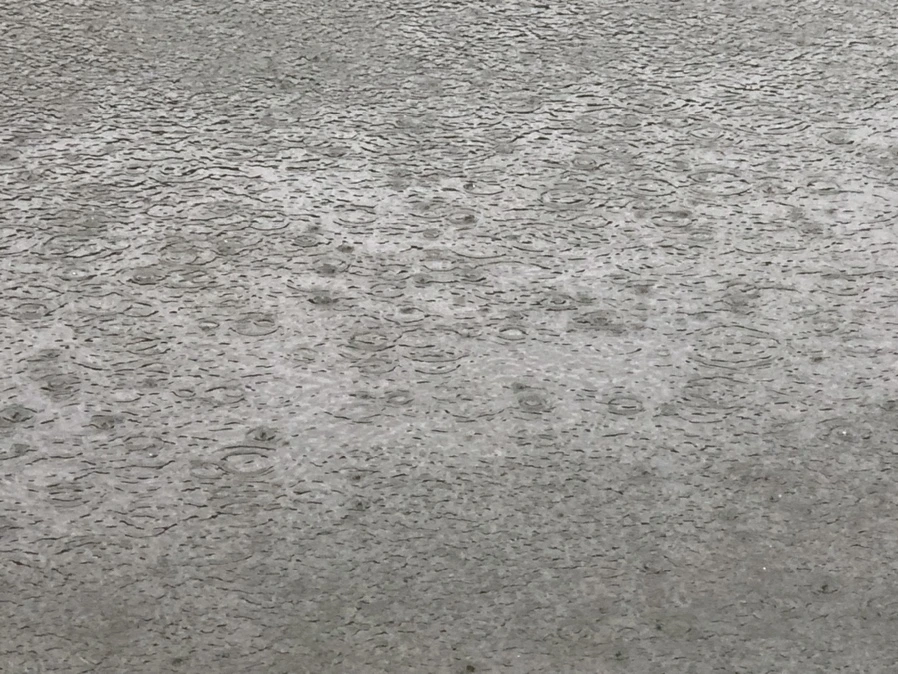 IMG_3276.jpg?type=w966