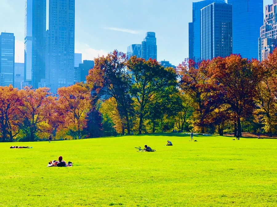 IMG_4329.jpg?type=w966