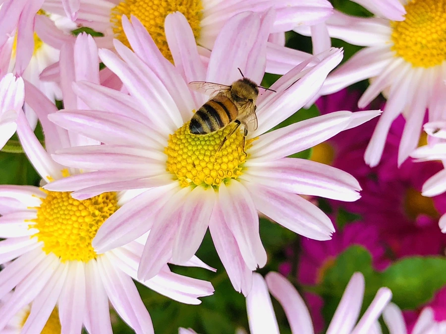 IMG_2589.jpg?type=w966