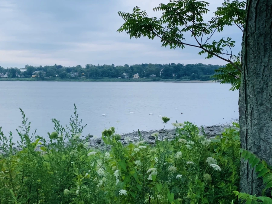 IMG_0719.jpg?type=w966