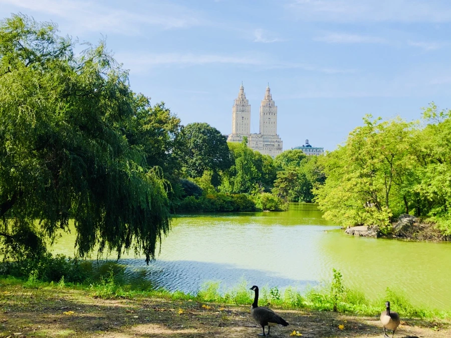 IMG_0386.jpg?type=w966