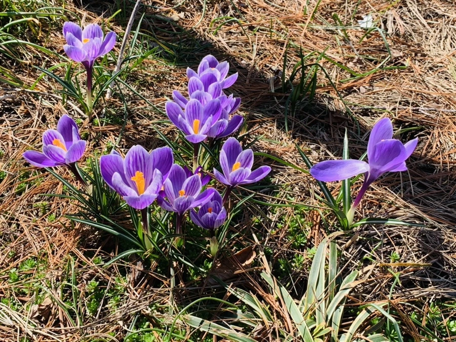 IMG_4378.jpg?type=w966