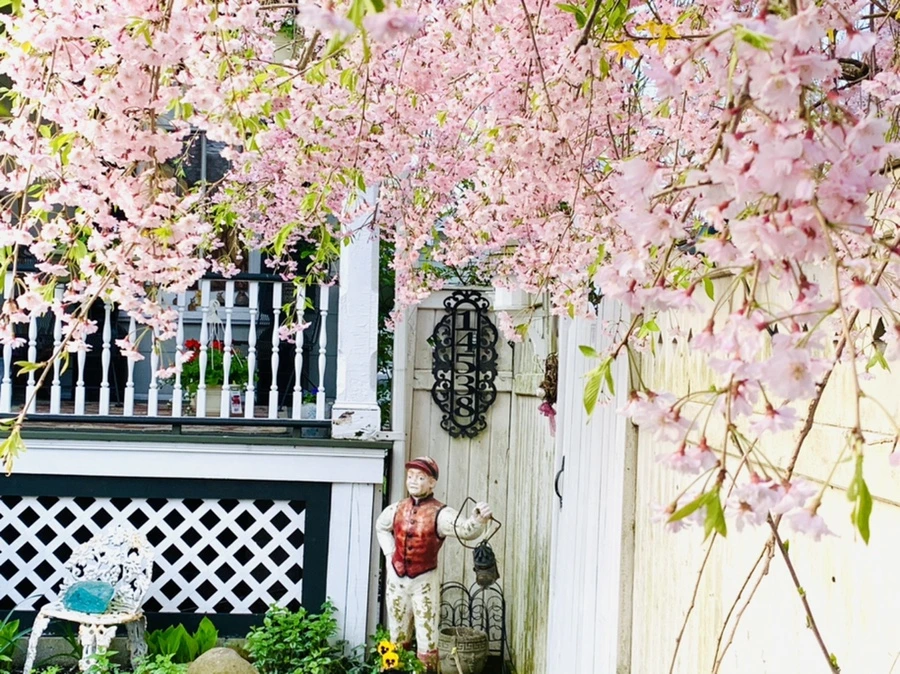 IMG_3703.jpg?type=w966