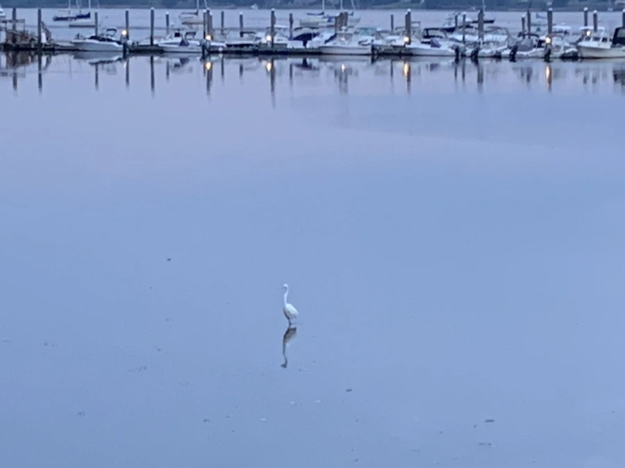 IMG_6248.jpg?type=w966