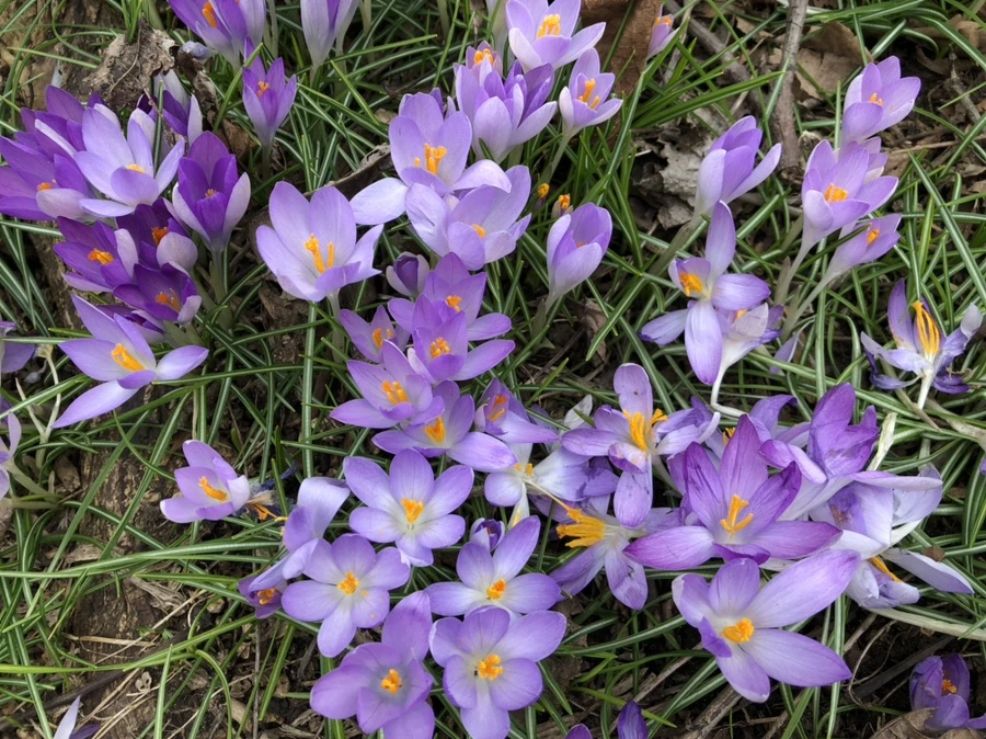 IMG_1989.jpg?type=w966