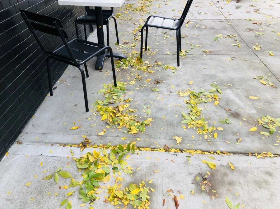 IMG_1232.jpg?type=w966