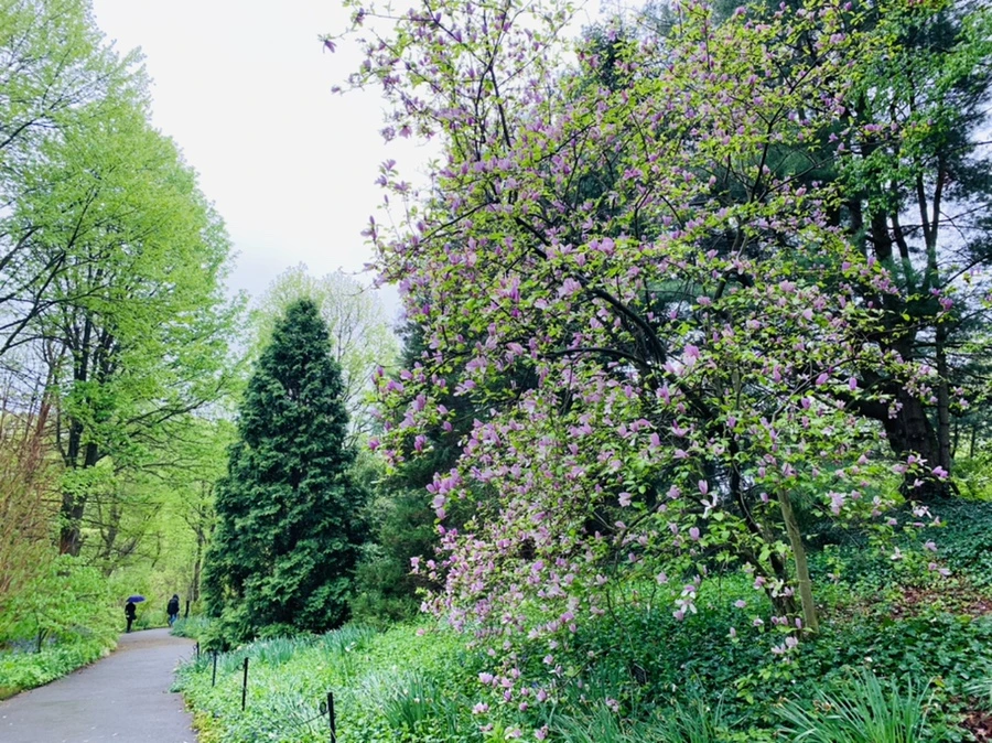 IMG_9788.jpg?type=w966