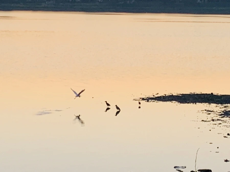 IMG_7149.jpg?type=w966