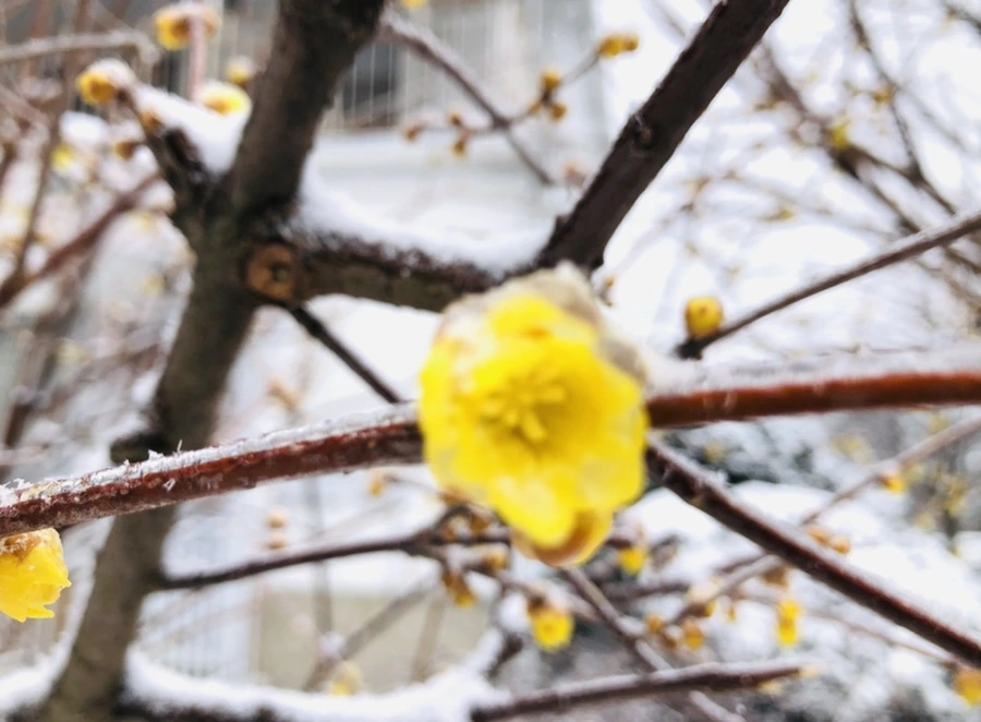 IMG_3514.jpg?type=w966