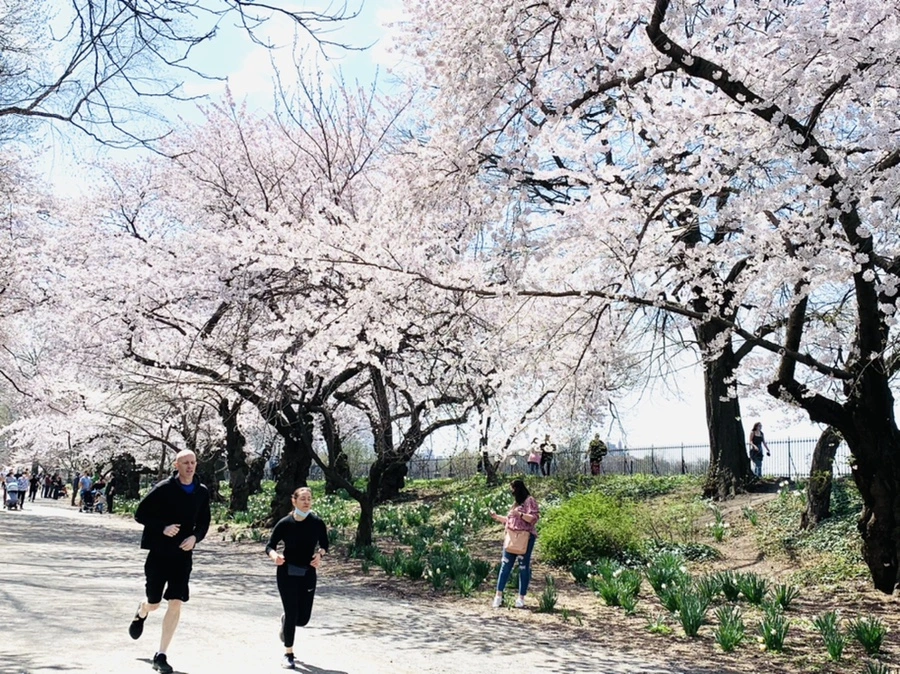 IMG_0096.jpg?type=w966