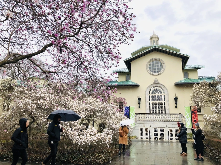 IMG_2376.jpg?type=w966