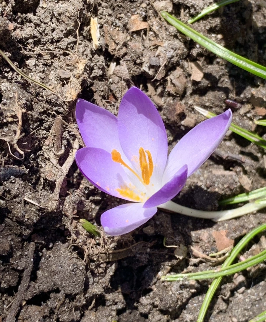 IMG_8207.jpg?type=w966