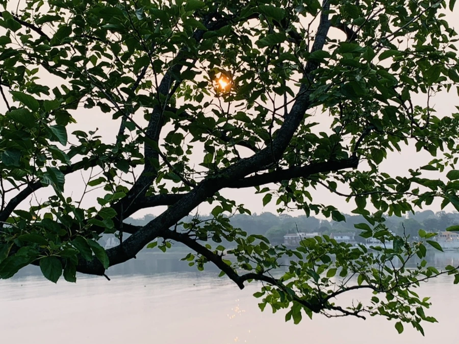 IMG_8448.jpg?type=w966