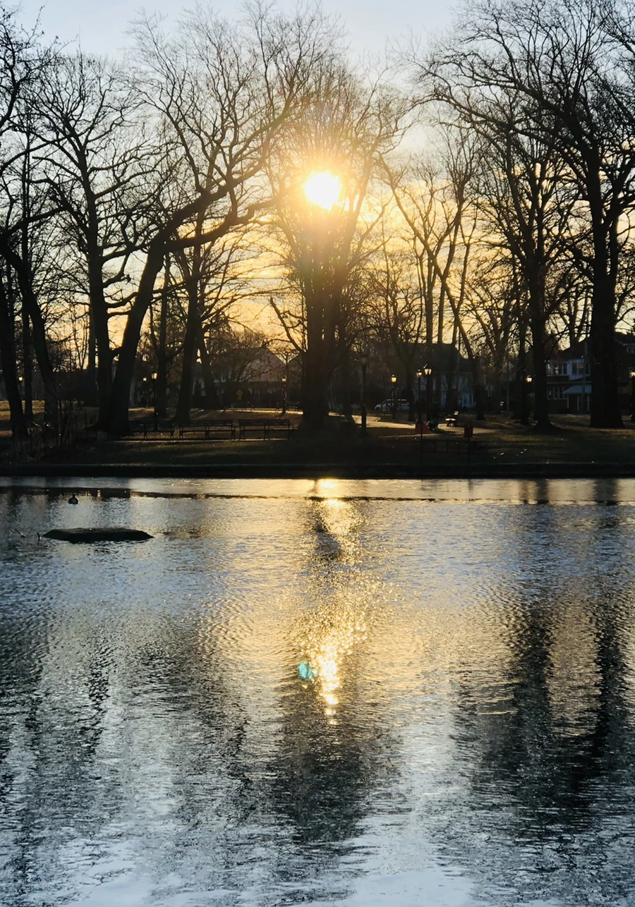 IMG_0903.jpg?type=w966