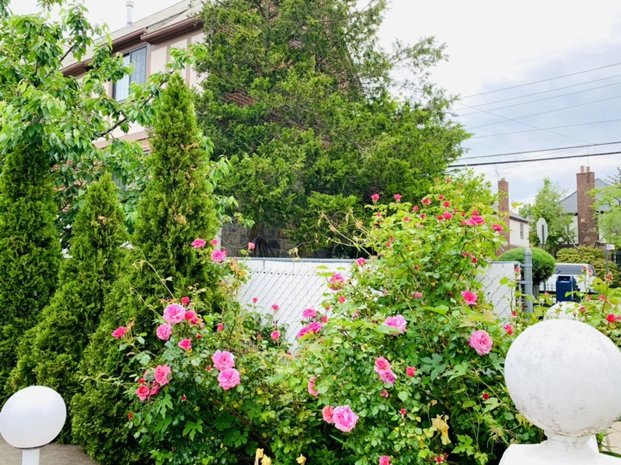 IMG_4861.jpg?type=w966