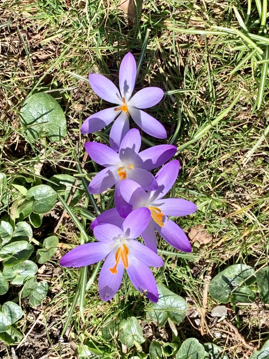 IMG_9227.jpg?type=w966