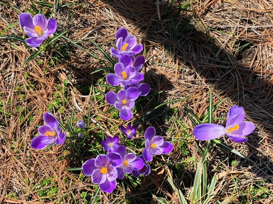 IMG_4380.jpg?type=w966