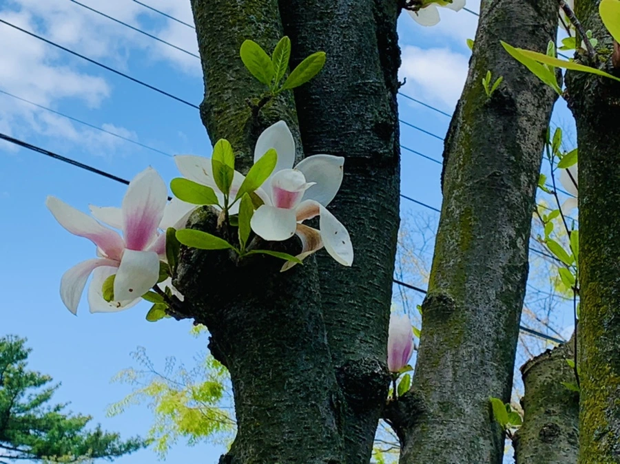 IMG_3904.jpg?type=w966