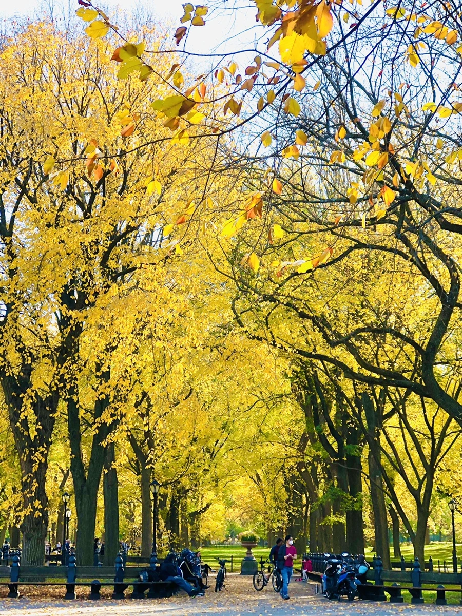 IMG_3514.jpg?type=w966