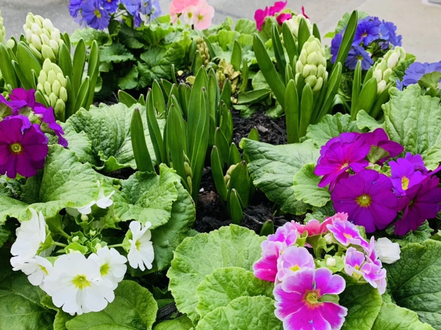 IMG_4650.jpg?type=w966