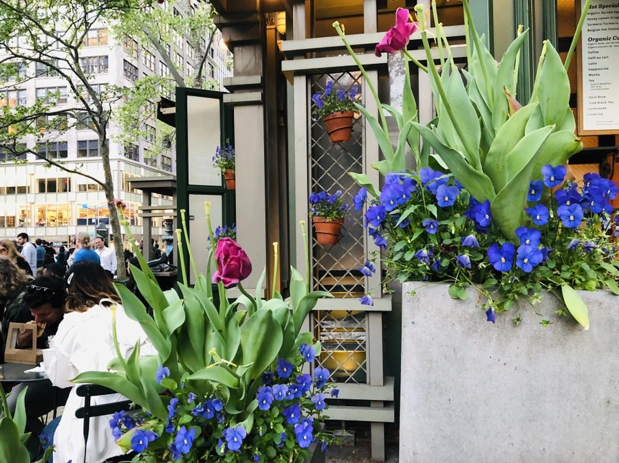 IMG_4430.jpg?type=w966