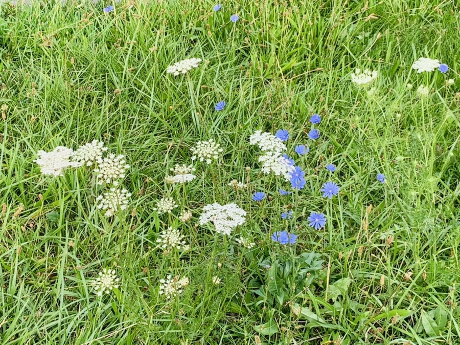 IMG_2271.jpg?type=w966