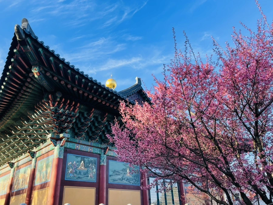 IMG_6083.jpg?type=w966