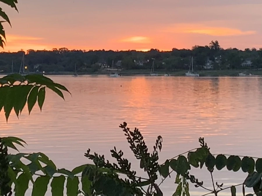 IMG_5892.jpg?type=w966