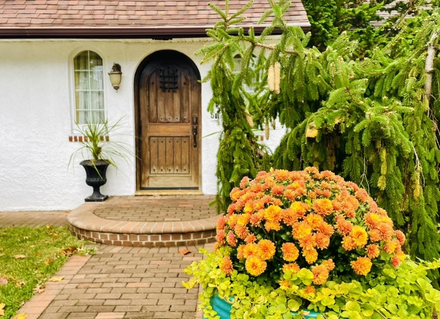 IMG_2462.jpg?type=w966