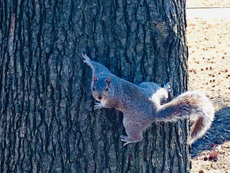 IMG_6948.jpg?type=w966