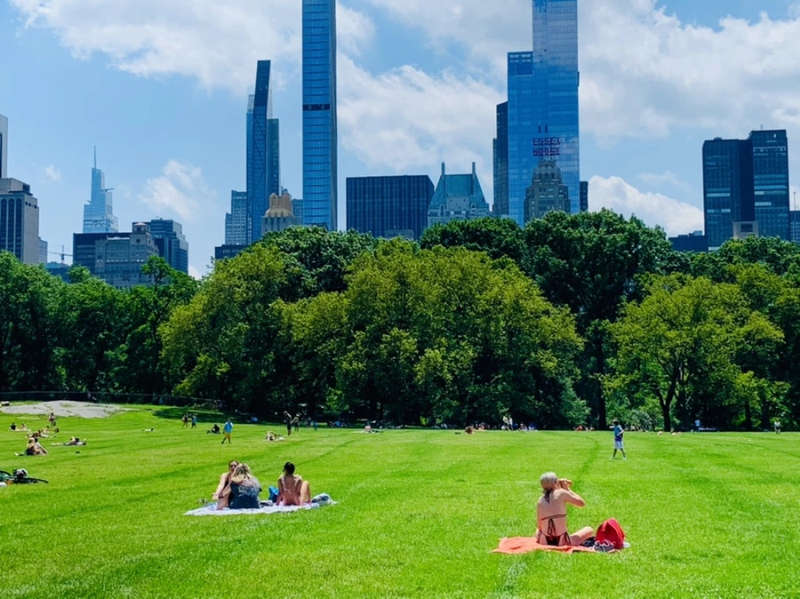 IMG_5372.jpg?type=w966