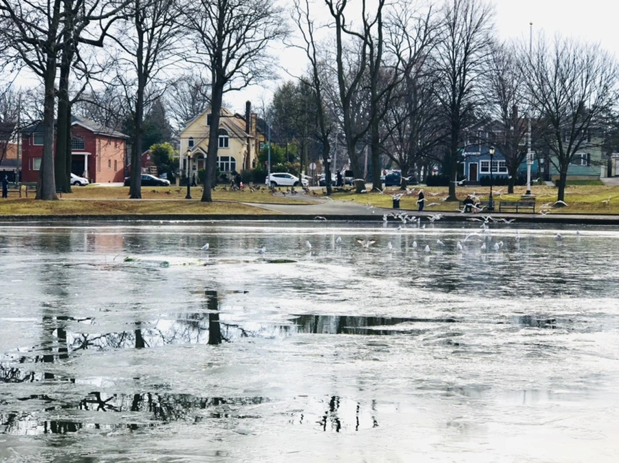 IMG_2025.jpg?type=w966