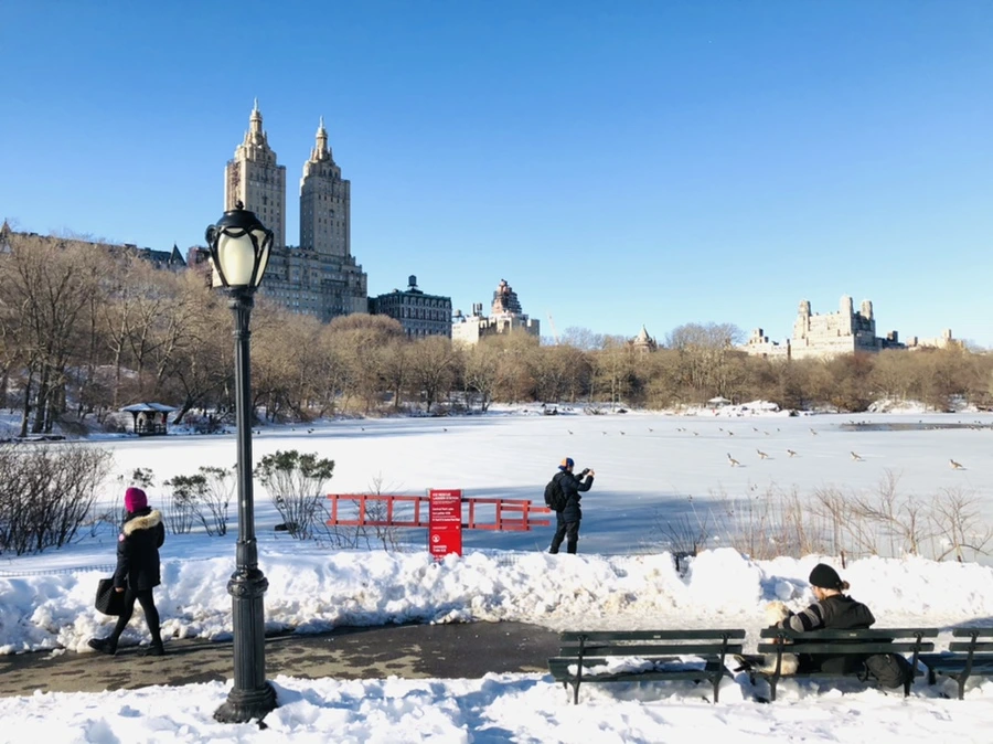 IMG_9851.jpg?type=w966