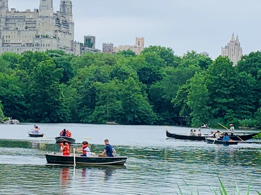 IMG_3381.jpg?type=w966