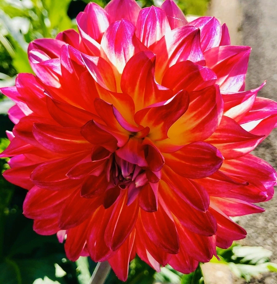 QkdGlD4Kbog0E1DmyOuTvRgkIE0