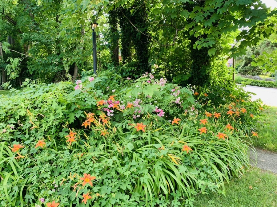 IMG_5038.jpg?type=w966